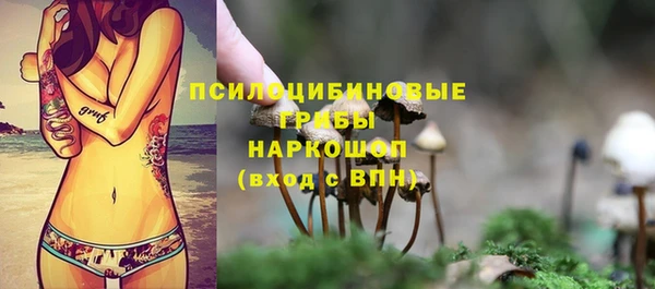 круглые Козельск