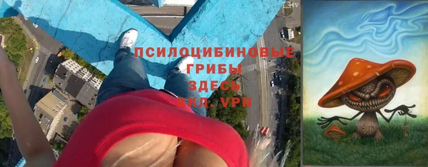 марки lsd Краснослободск