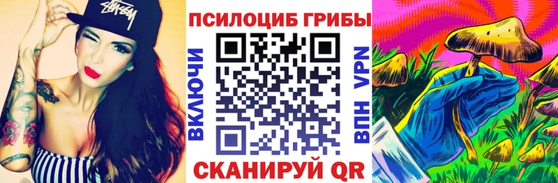 Купить где  Артёмовский  Псилоцибиновые грибы MAGIC MUSHROOMS 